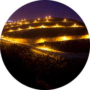 Portfolio Image