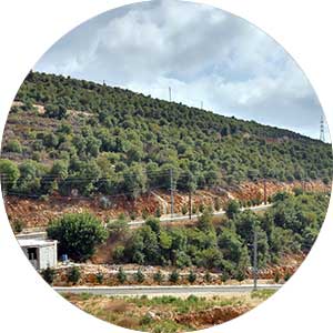 Portfolio Image