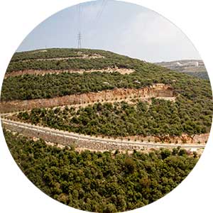 Portfolio Image