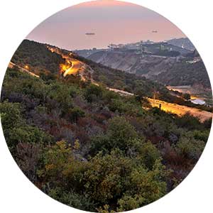 Portfolio Image